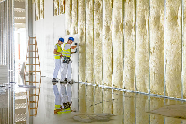 Best Insulation Maintenance and Repair in Walford, IA